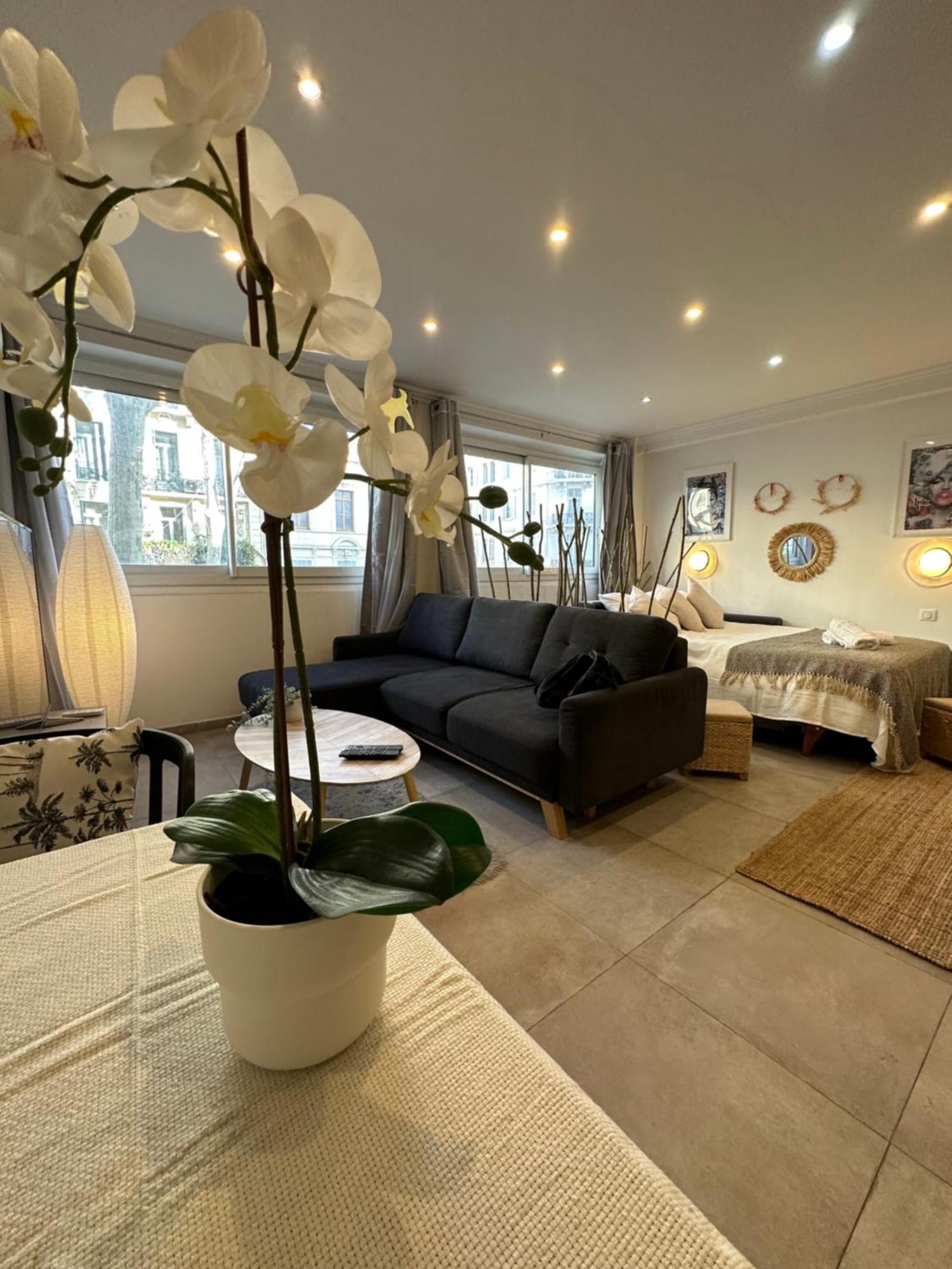 Grand Studio Cosy Cannes Centre Extérieur photo